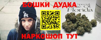 гидропоника Дубна