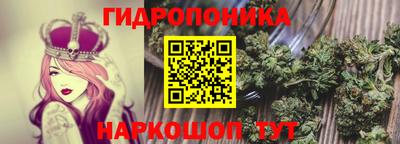 дурь Гагарин
