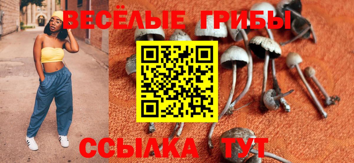 Галлюциногенные грибы GOLDEN TEACHER  Вход с VPN  Отрадное 